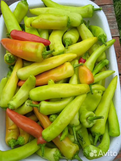 Горький перец