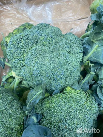 Брокколи