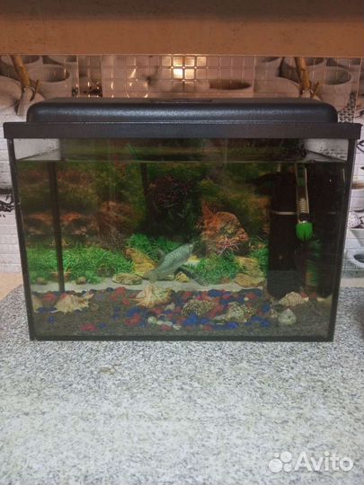 Аквариум