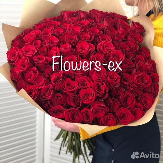 Розы Эквадор, Букет 25 роз, купить розы оптом