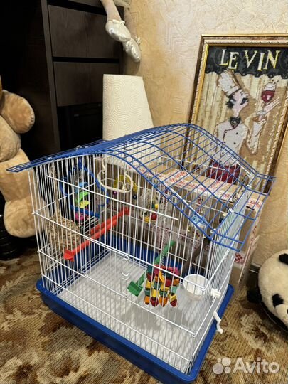 Клетка для птиц