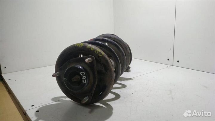 Амортизатор передний правый Citroen C-Crosser 200