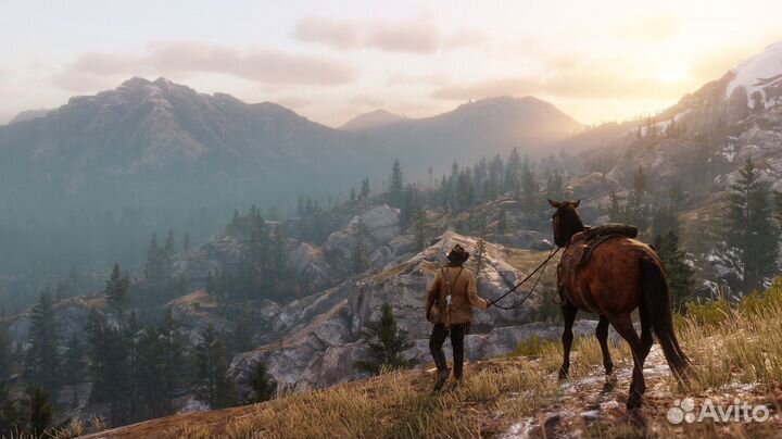 Red Dead Redemption 2 (PS4/PS5) Краснодар