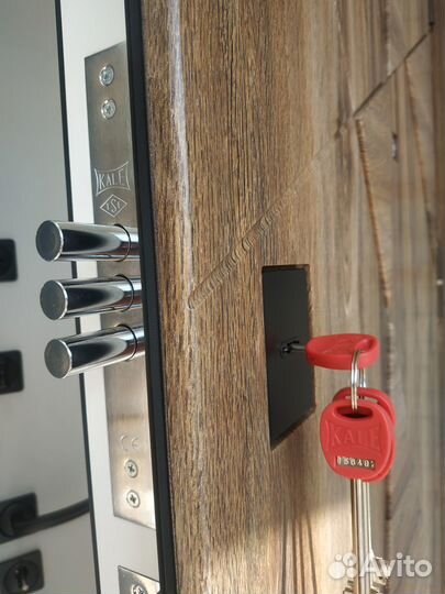 Дверь входная