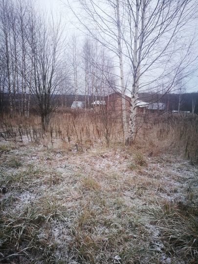 Участок 10,5 сот. (ИЖС)