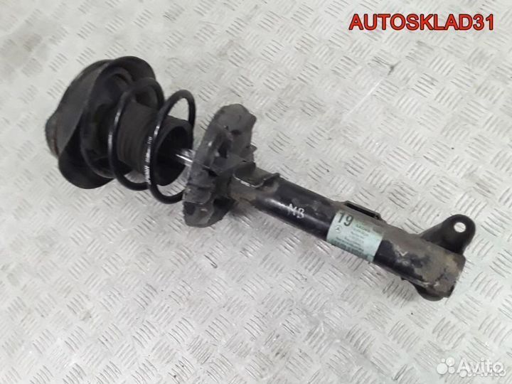 Стойка передняя в сборе Mercedes W203 A2033204130