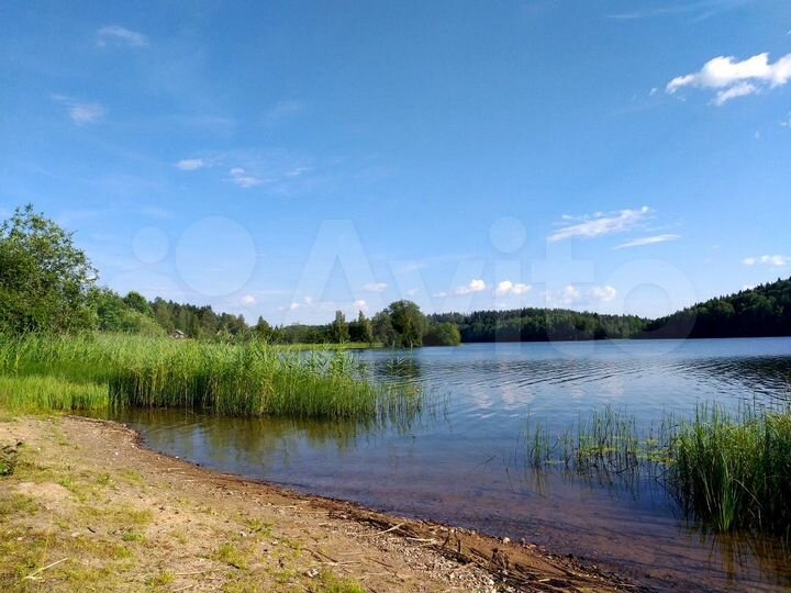 Участок 4 га (СНТ, ДНП)