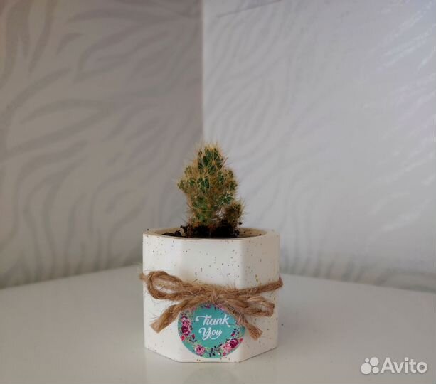 Интерьерные изделия из гипса с кактусом кашпо