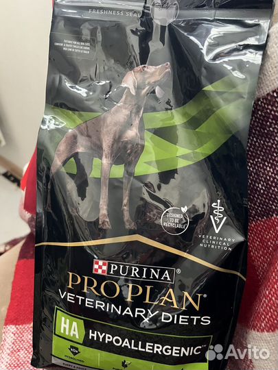 Корм для собак