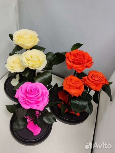 Роза в колбе оптом и в розницу