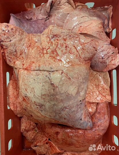 Корм для собак (обрезь, кости, сердце, легкое)