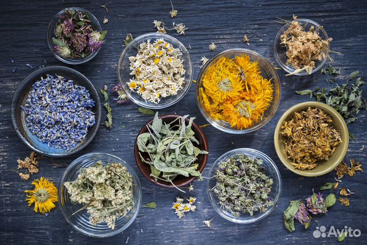 Крупный опт травы ягоды грибы