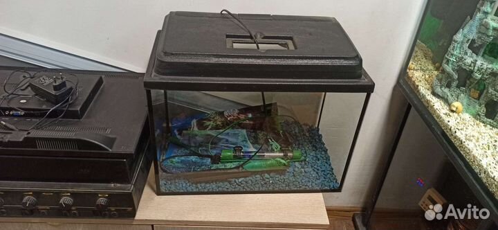 Аквариум