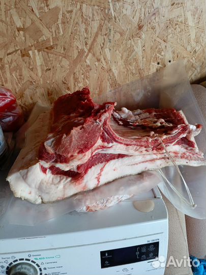 Продам мясо свинина