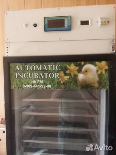 Инкубатор для яиц автоматический бу