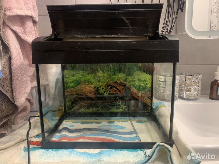 Аквариум