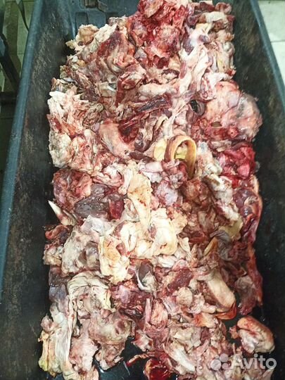 Корм, мясо для собак, говядина