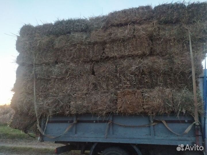Продам сено
