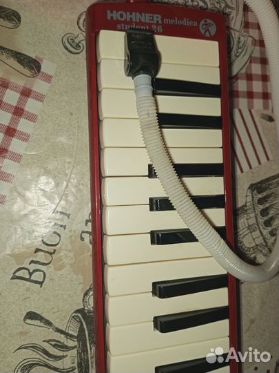 Hohner melodica student 26