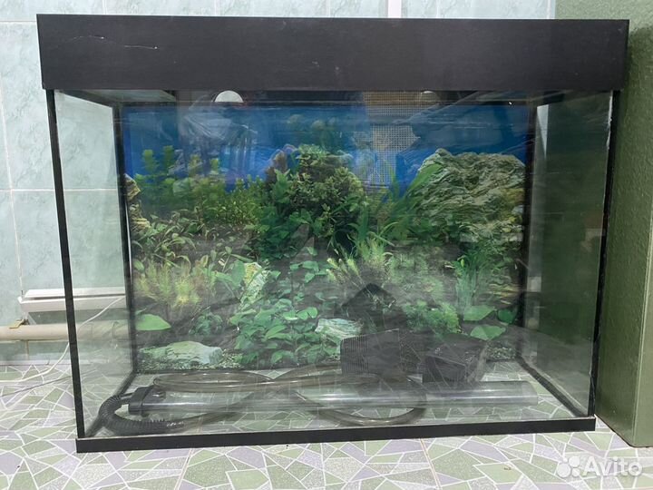 Аквариум для рыб