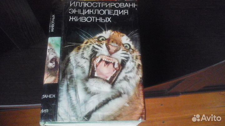Иллюстрированная энциклопедия животных В Я Станек