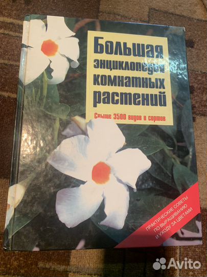 Большая энциклопедия комнатных растений