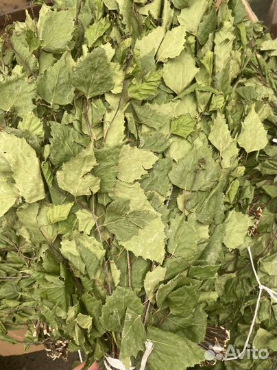 Веники для бани