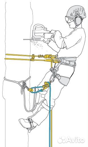 Спил деревьев, арбористика
