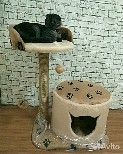 Когтеточка с домиком для кошек Луиза