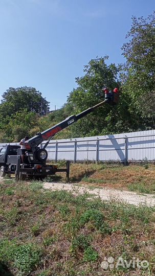 Спил деревьев. Обрезка. Корчевание