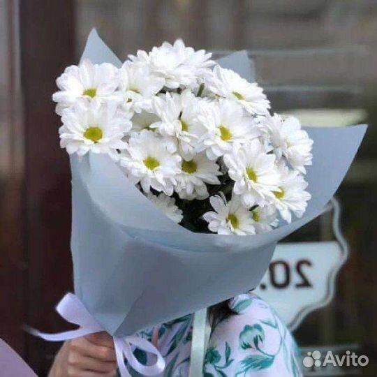 Хризантема белая Кустовые Хризантемы