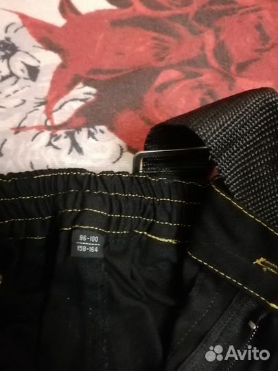 Энцефалитный костюм