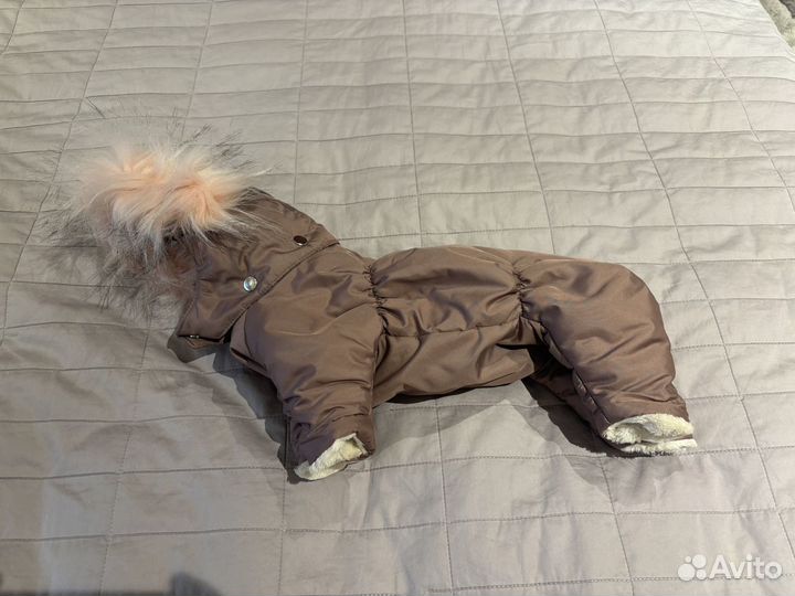 Зимний костюм для собак «Модная Собачка» M/L