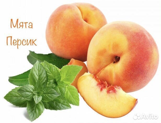 Саженцы мяты Персик Медовая сота и др