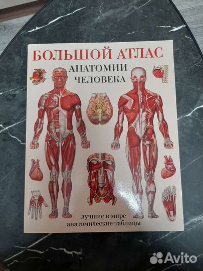 Большой атлас анатомии человека