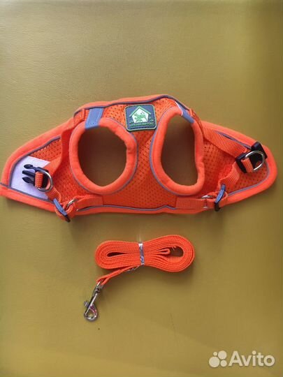 Шлейка с поводком для кошек и мелких собак XS