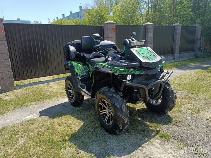 Стелс гепард