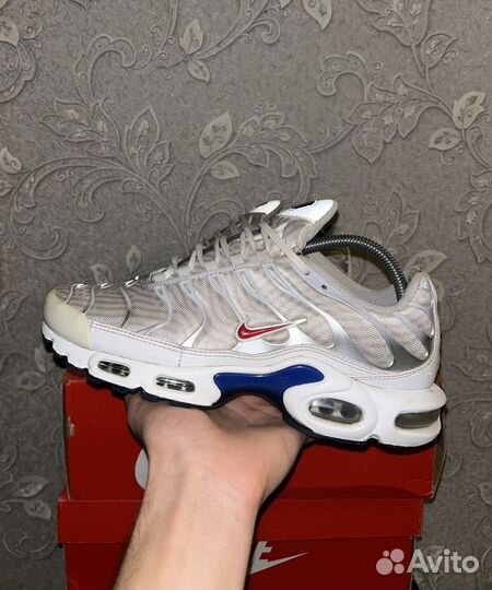 Nike air max plus TN