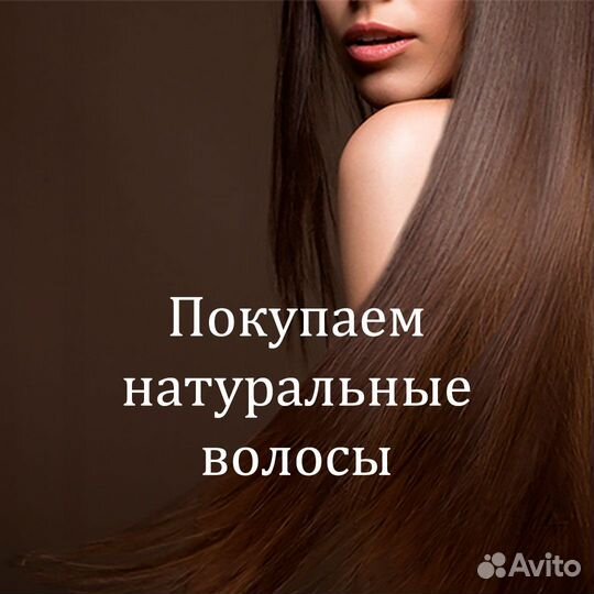 Скупка волос сдать продать волосы Братск