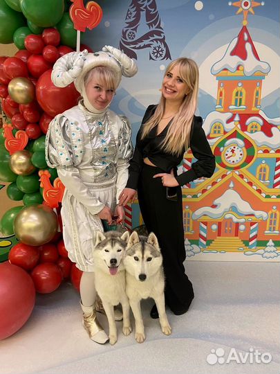 Аниматор на детский праздник