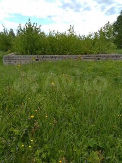 Участок 25 сот. (ИЖС)