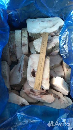 Рыба и морепродукты