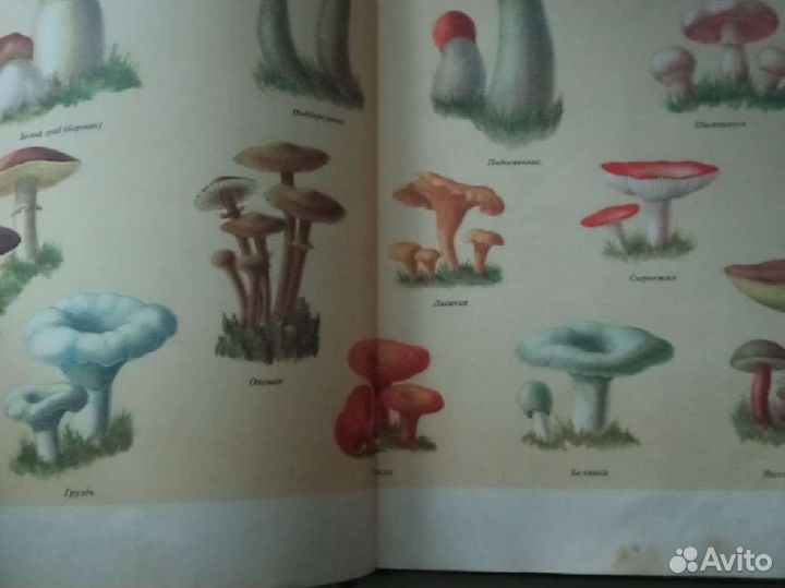 Большая кулинарная книга