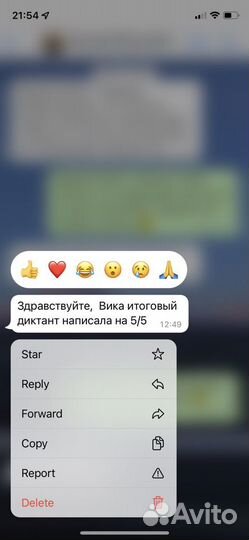 Репетитор по русскому/английскому языкам