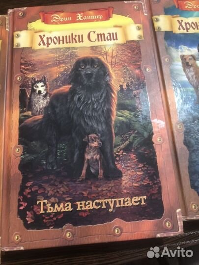 Книги серии хроники стаи