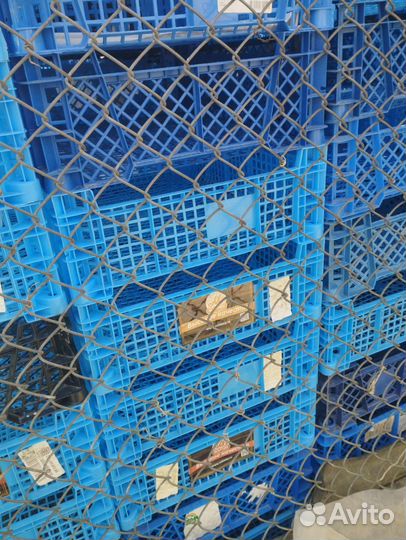 Пластиковые ящики бу