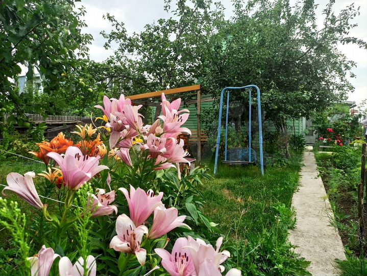 Дача 30 м² на участке 8 сот.
