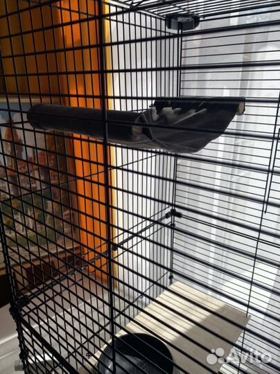 Клетка для грызунов, большая