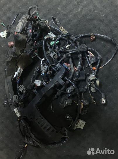 Проводка коса Honda CBR 600 RR 2011г