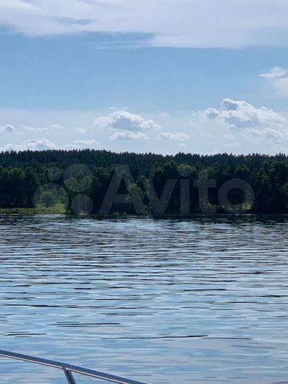 Участок 41 сот. (СНТ, ДНП)